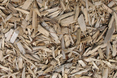biomass boilers Trebullett